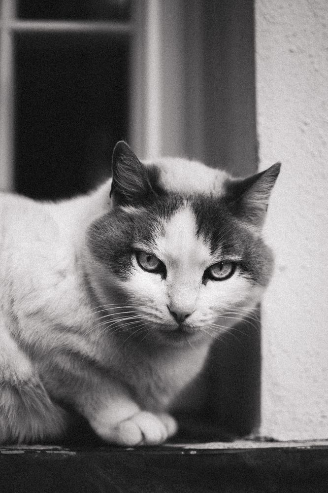 Photograph by Елена Дорошенко