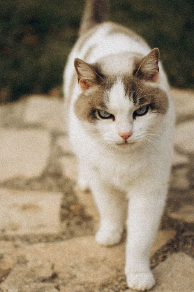 Photograph by Елена Дорошенко