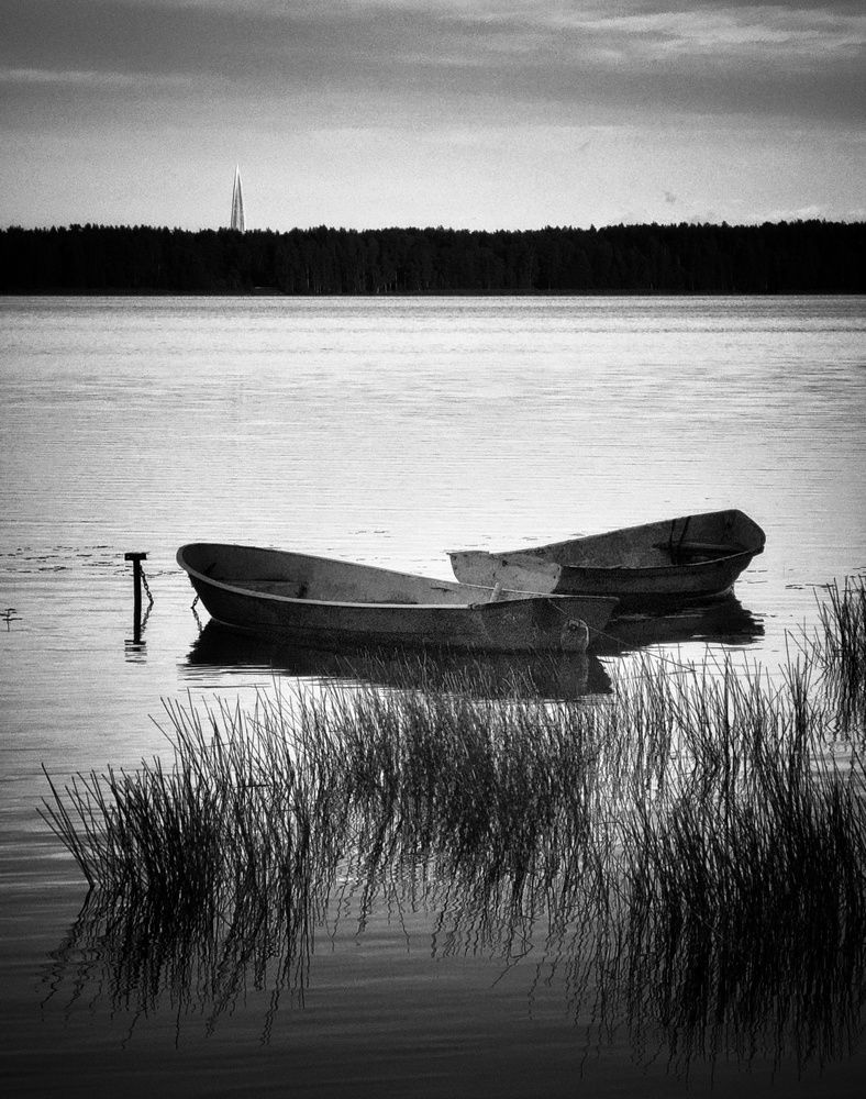 Photograph by Кривенко Владимир