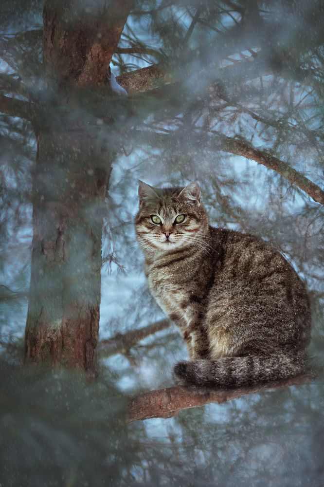 Photograph by Елена Сивенок