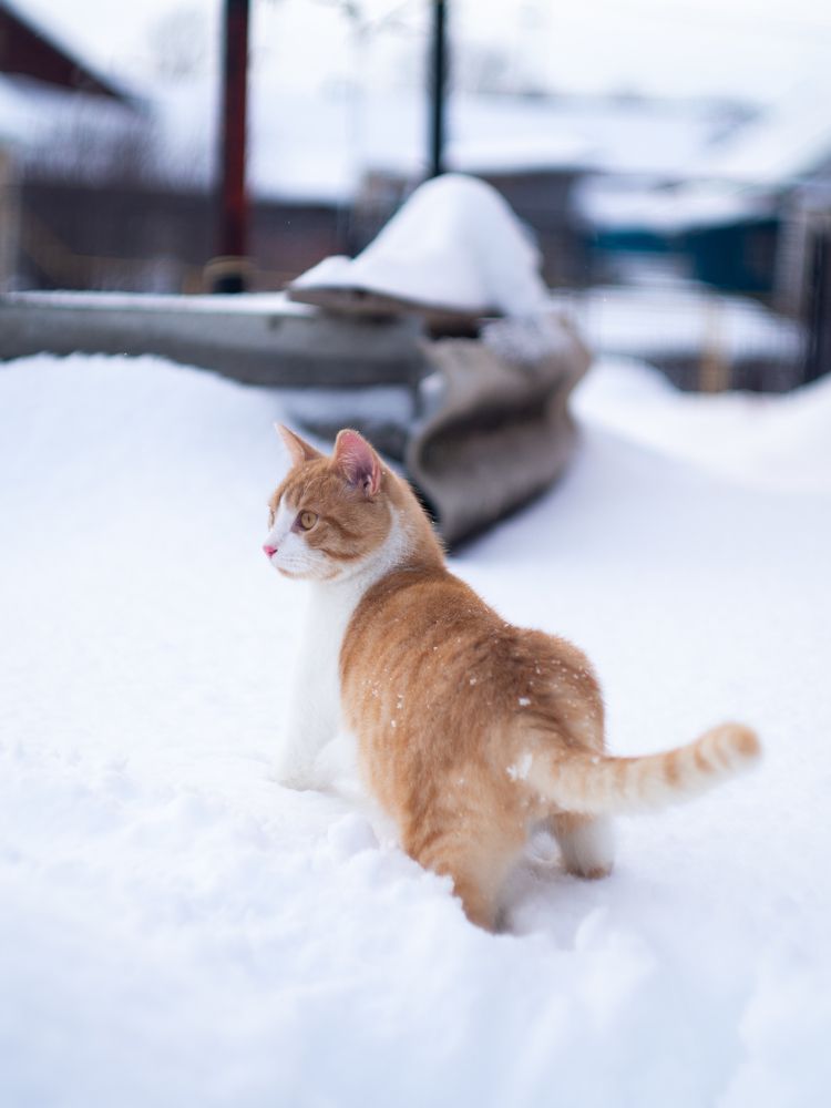 Photograph by Илья Долгушев