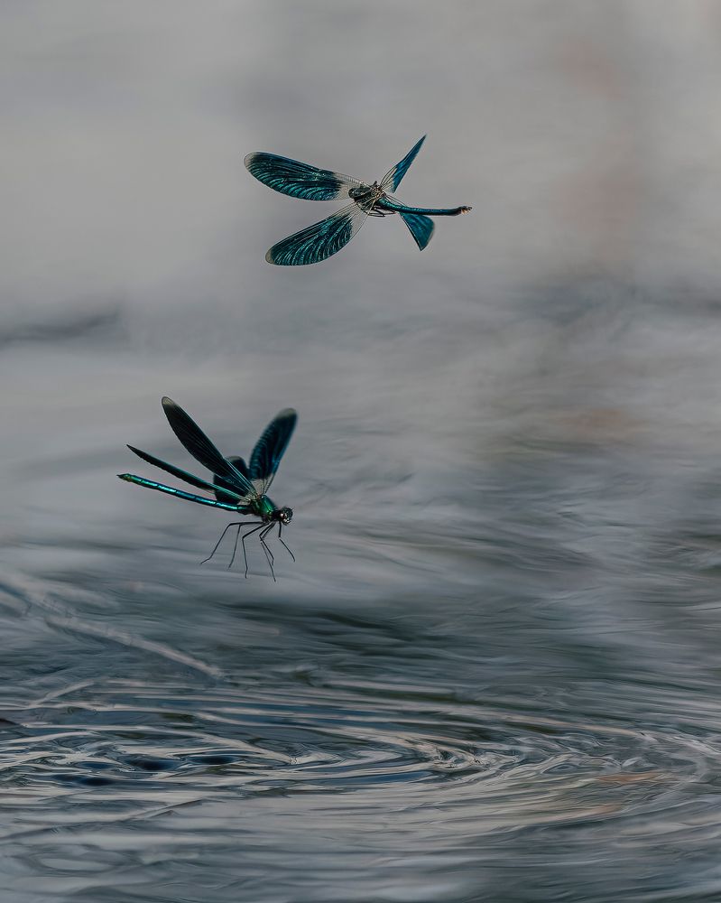 Воздушный вальс