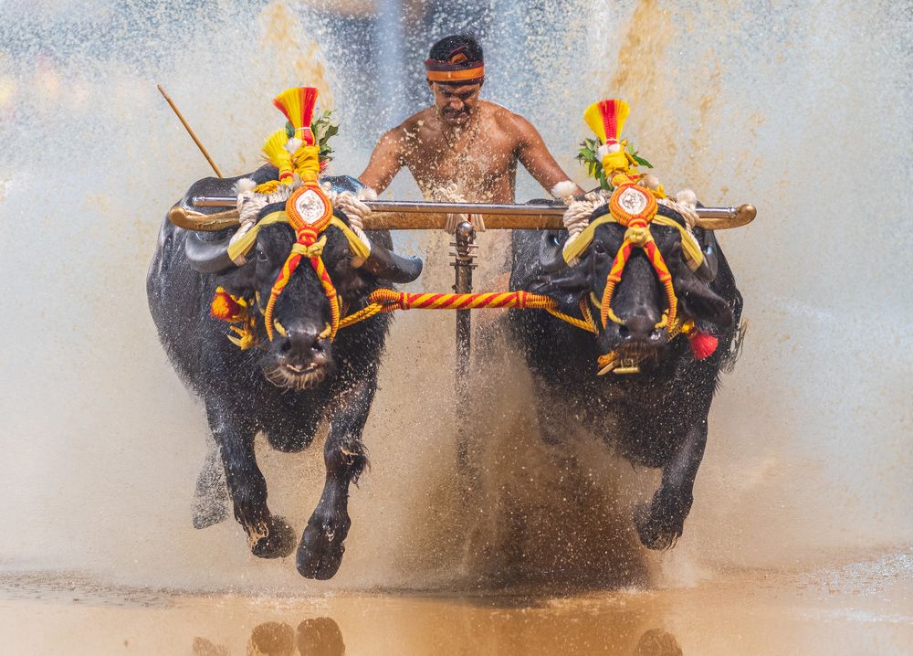 Photograph by Ranjith Kumar