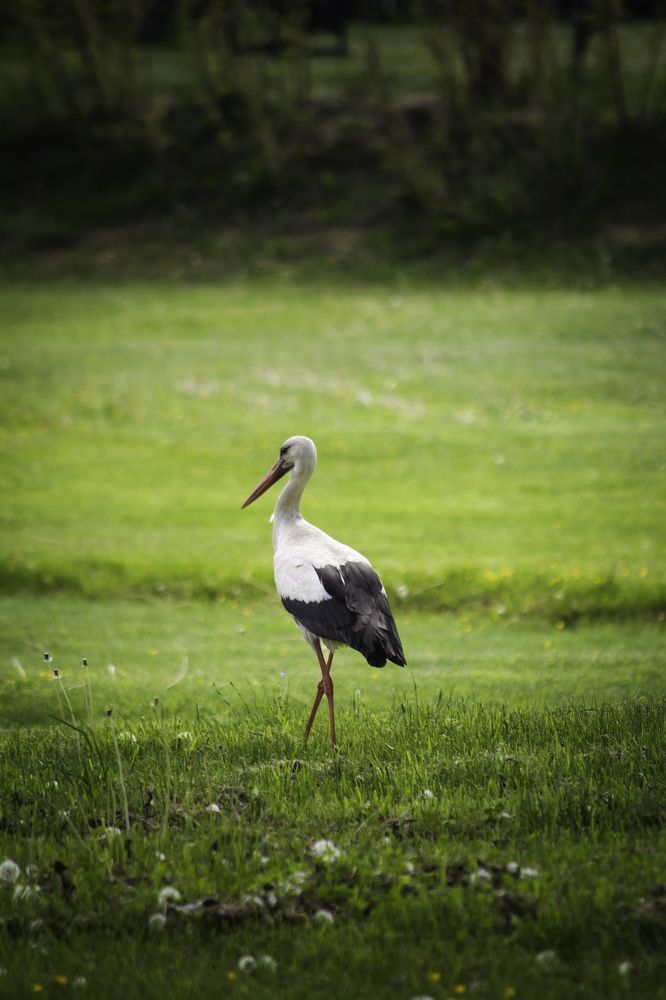 Photograph by Татьяна Огаркова