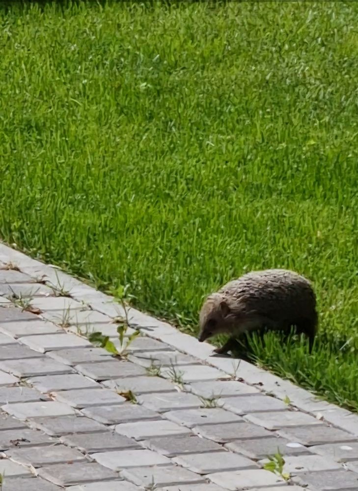 Photograph by Максим Иванов