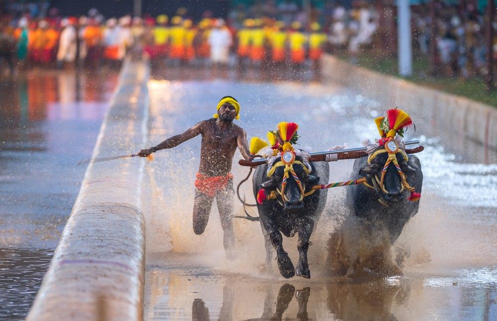 Photograph by Ranjith Kumar