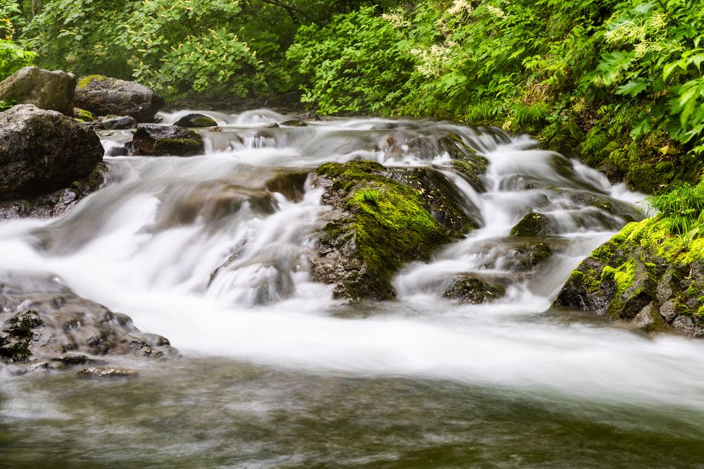 Фотография автора Артур Петросян