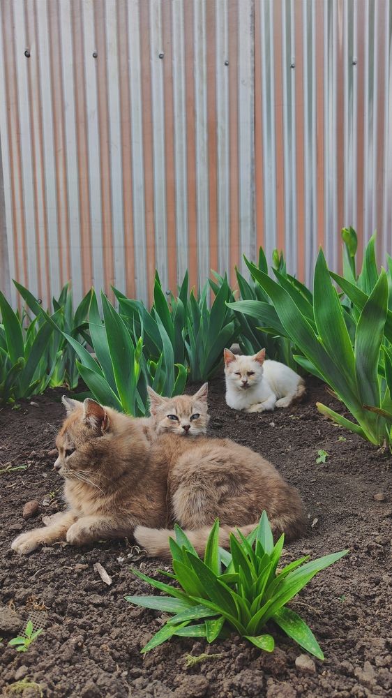 Photograph by Дмитрий Степанов