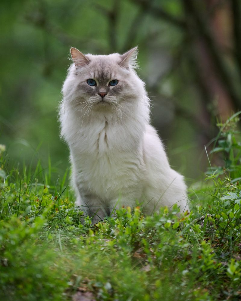 Photograph by Чехонин Александр