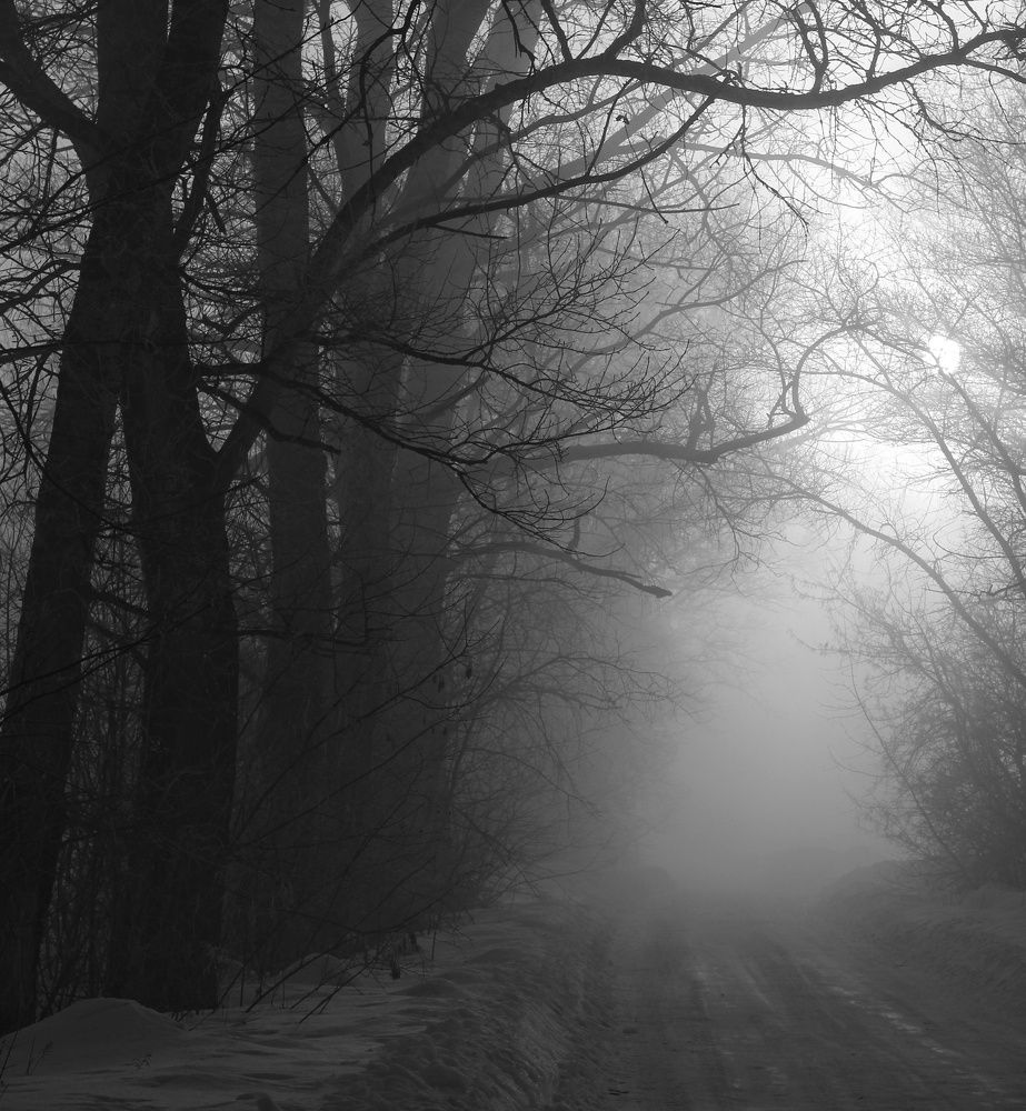 Photograph by Инна Карасева