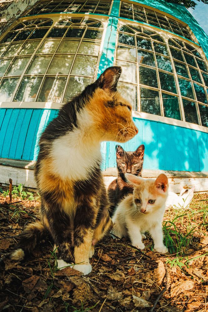 Photograph by Kostantin Belonogov