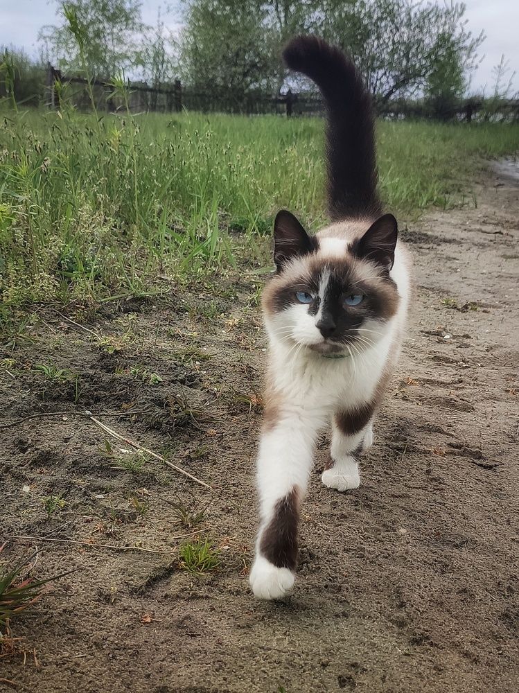 Фотография автора Ольга Сорокина