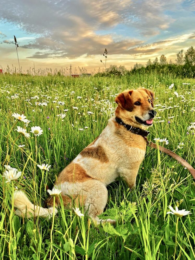 Photograph by Ирина Селиверстова