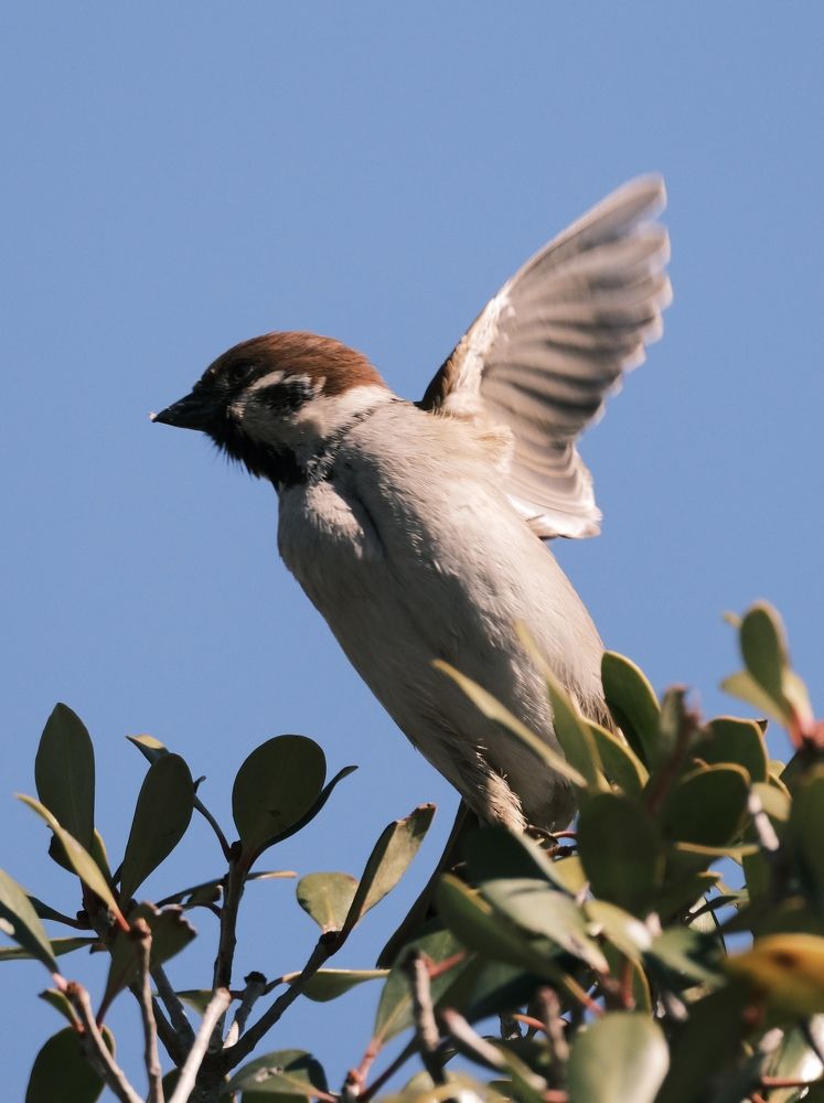 Photograph by Binh Khiem Nguyen