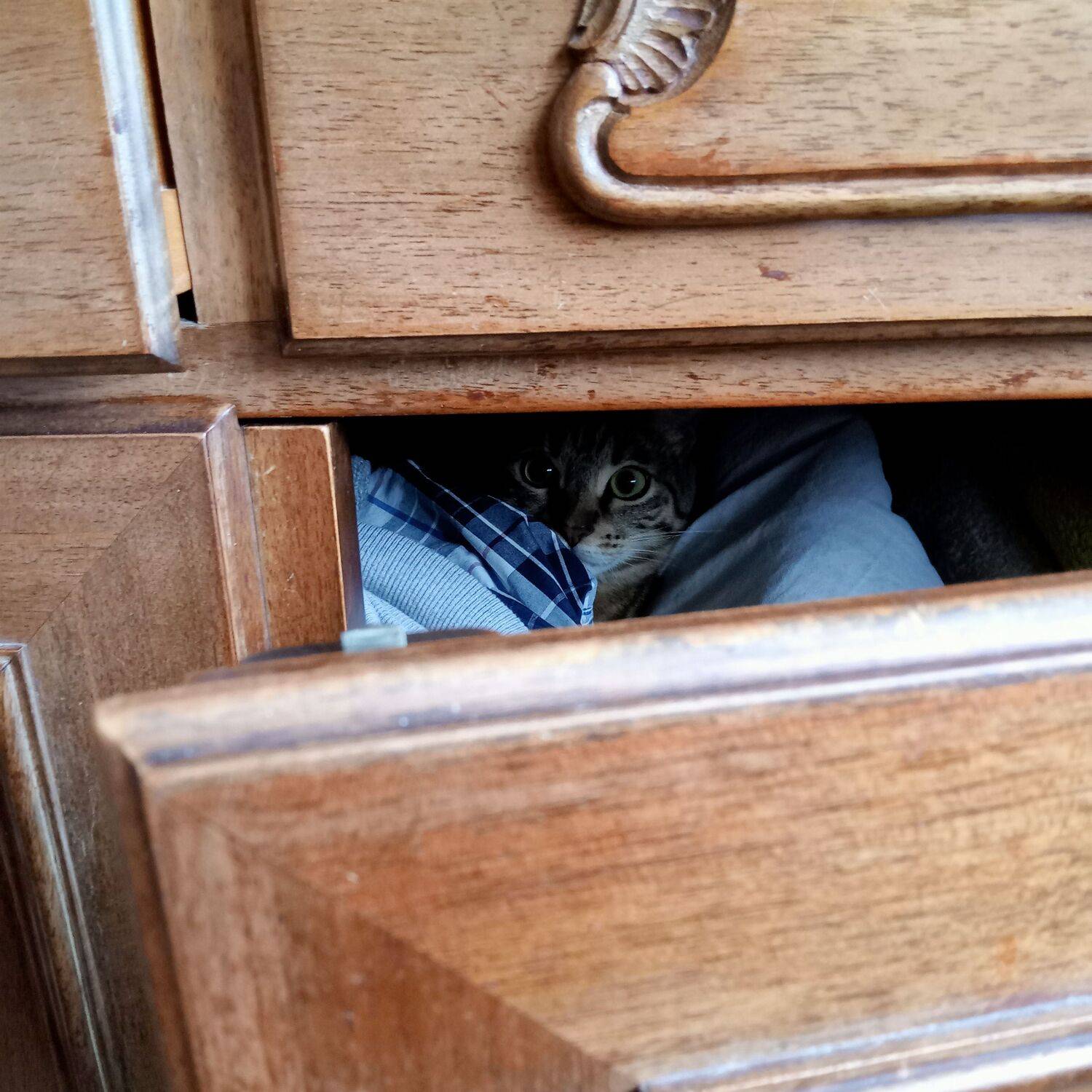 Photo #10810095