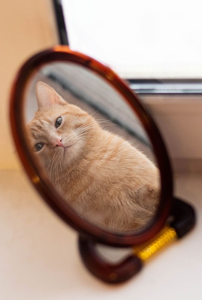 Photograph by Римма Бобрякова