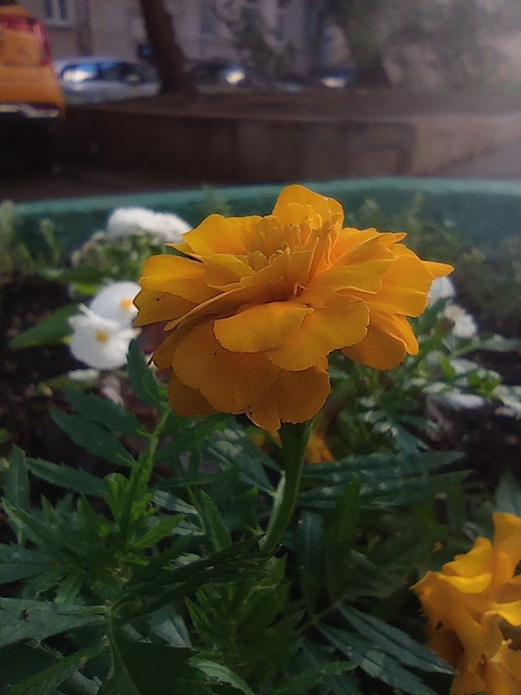 Photograph by Максим Кузнецов