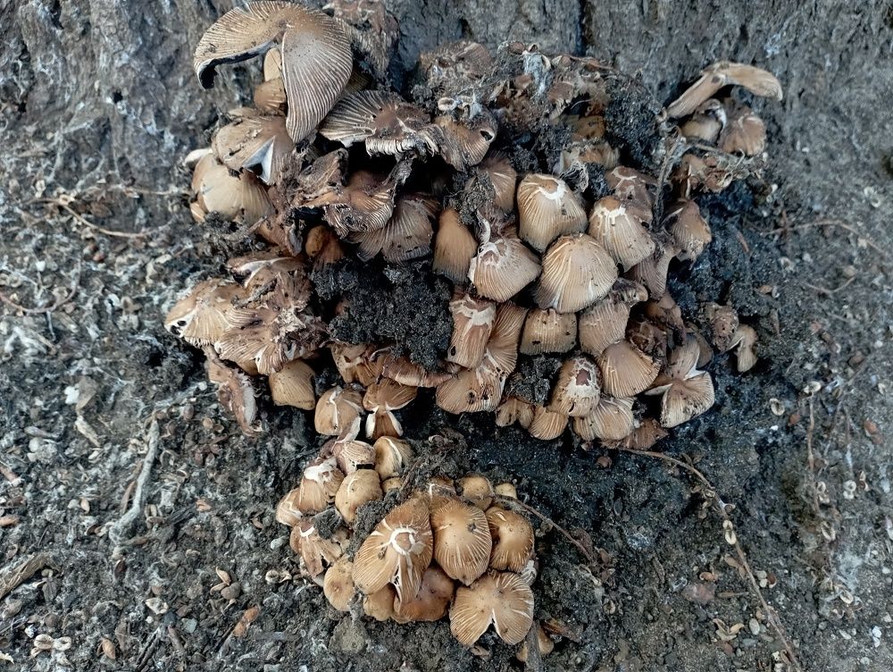 Photograph by Максим Кузнецов