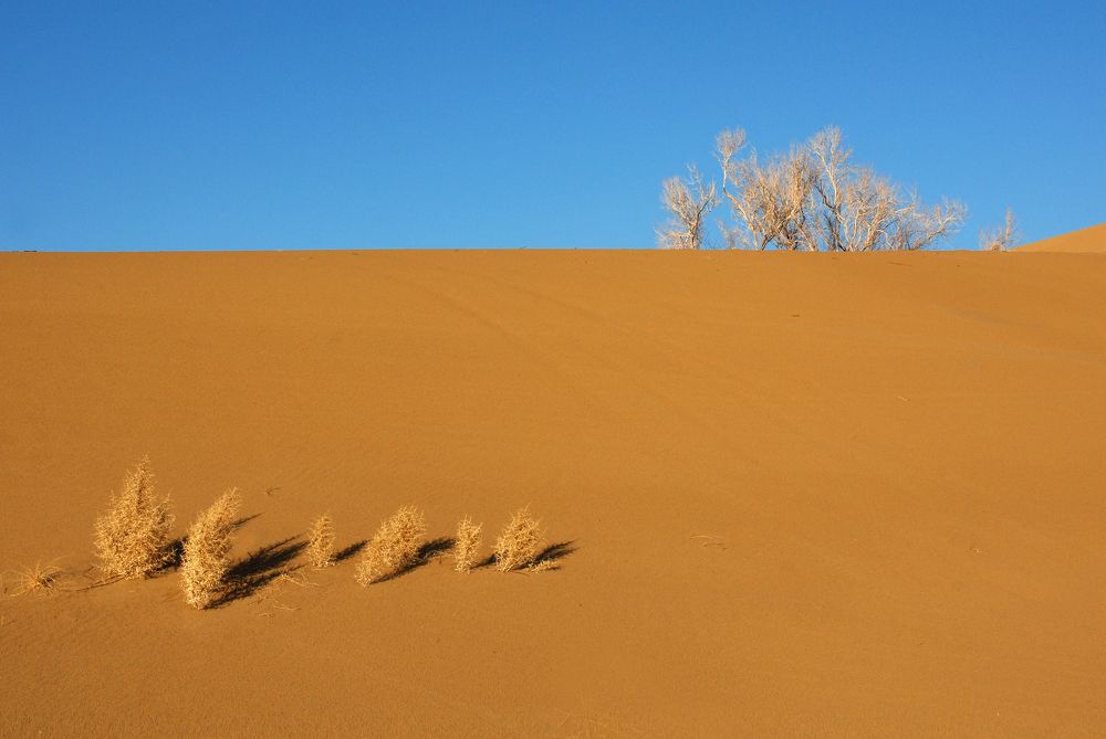 Photograph by Hengameh pirooz