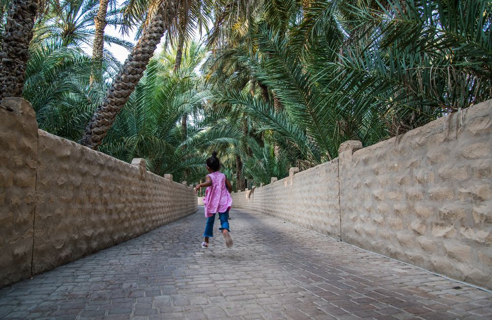 Фотография автора Syeda Fahamida