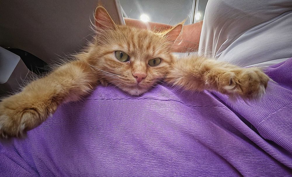 Photograph by Людмила Юрчук