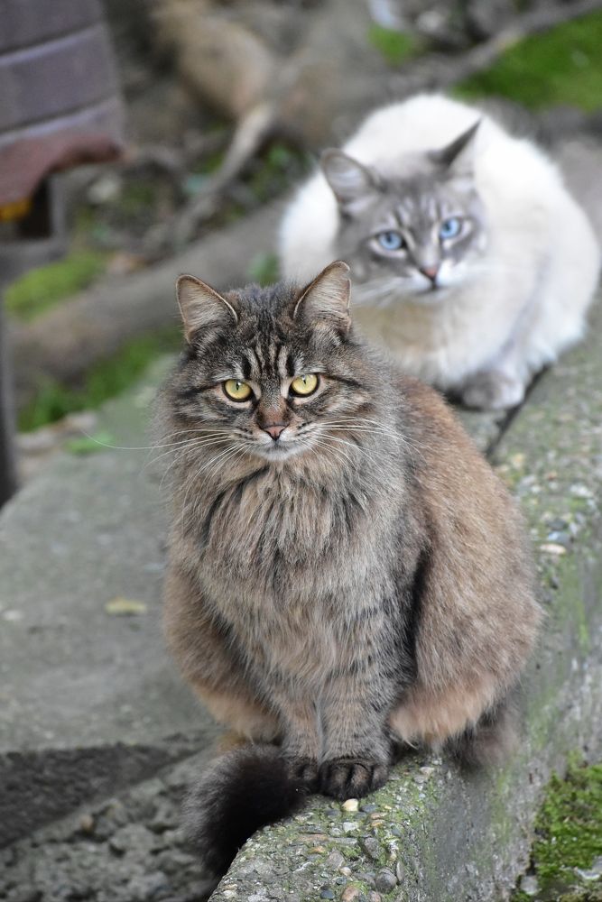 Фотография автора лилия беланова