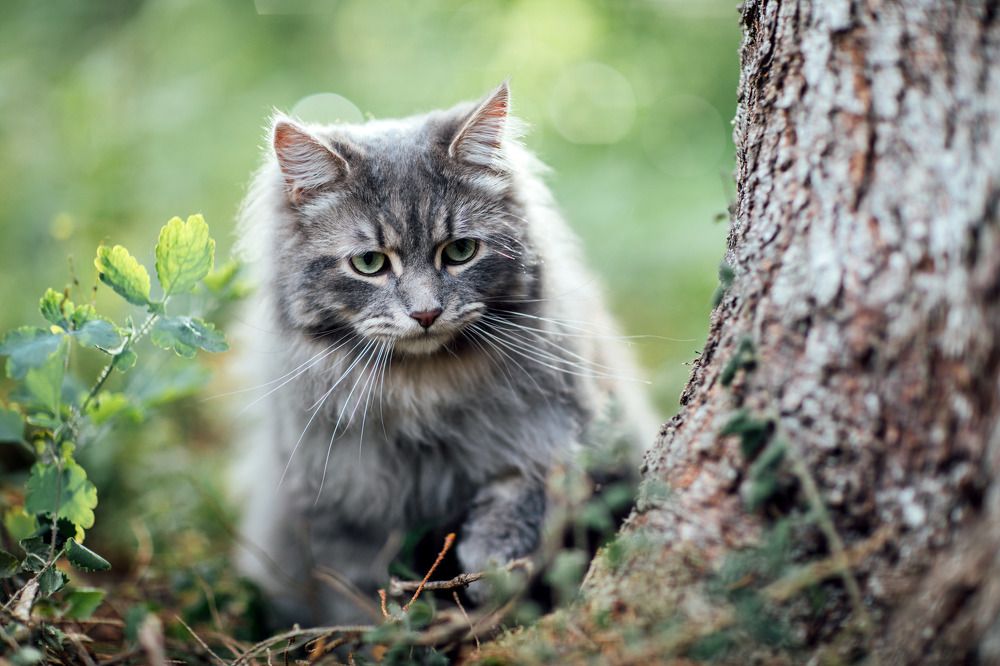 Photograph by Александра Липкина