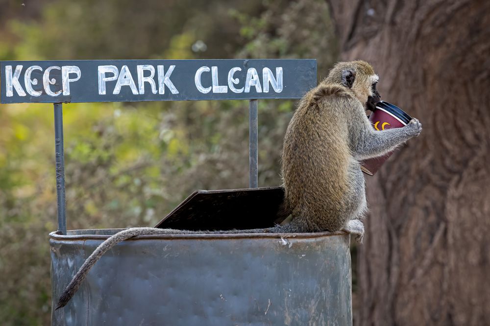 Photograph by Логунов Максим