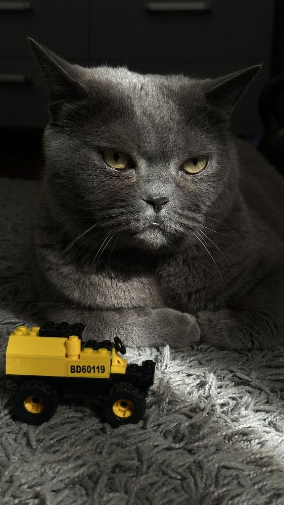 Photograph by Евгения Казакова