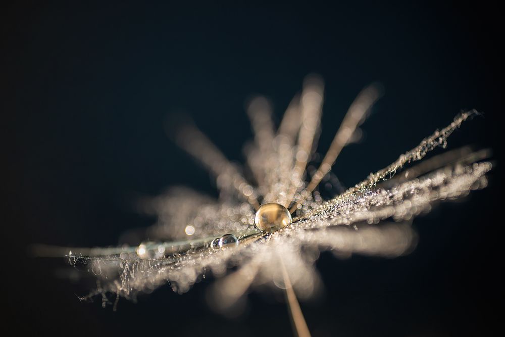 Photograph by Бакбак Тата