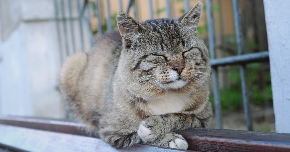 Photograph by Наталия Питолина