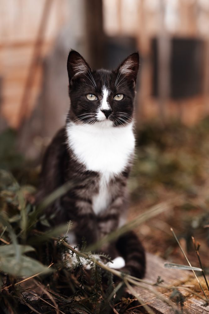 Photograph by Мария Конюхова