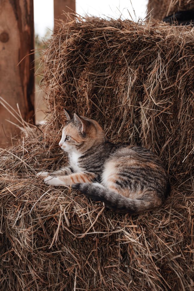Photograph by Мария Конюхова