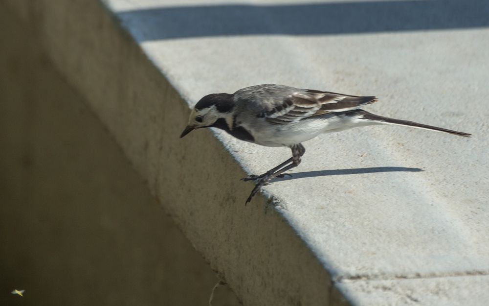 Photograph by Сергей Алексеев