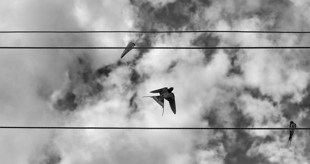 Photograph by Dragan Leles