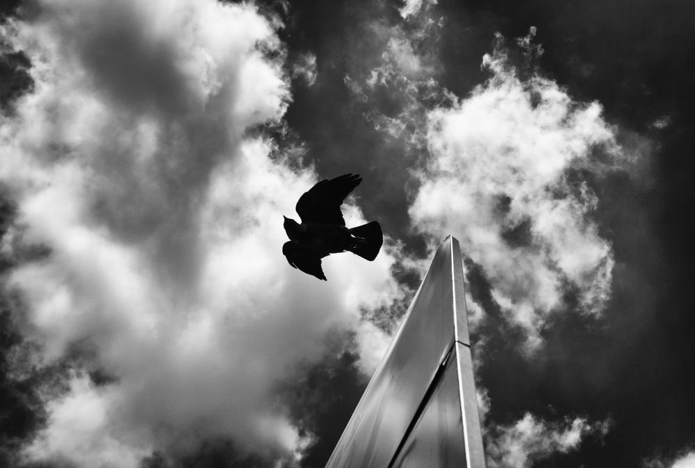 Photograph by Dragan Leles