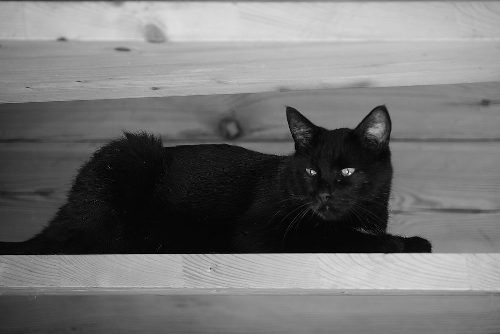 Фотография автора Таша Воскресная