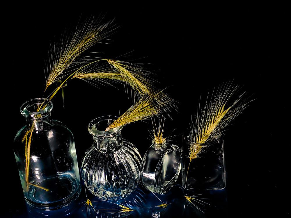 Photograph by Евгений Симион