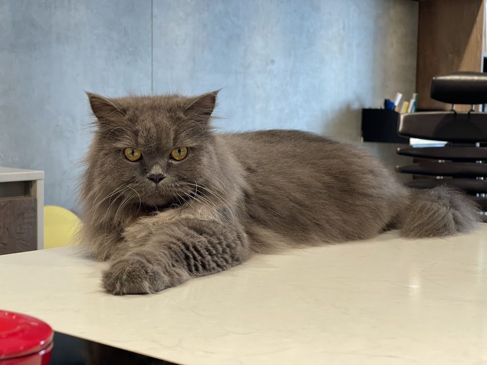 Photograph by Binh Khiem Nguyen