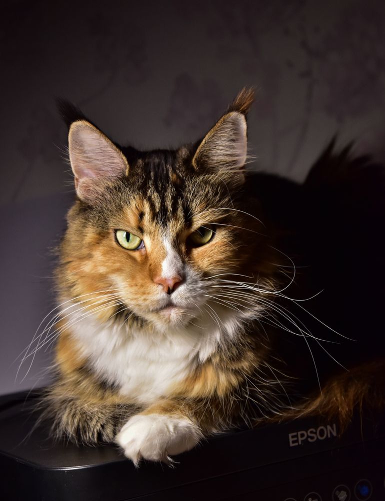 Photograph by Аверьянова Наталья