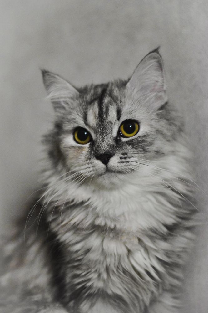 Photograph by Аверьянова Наталья