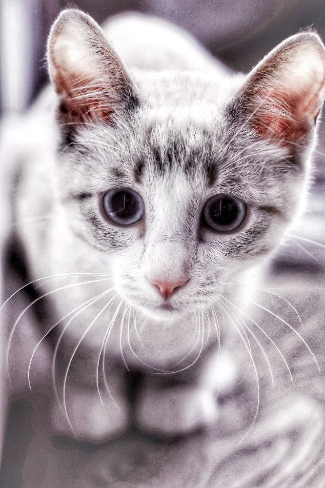 Photograph by Евгения Казакова