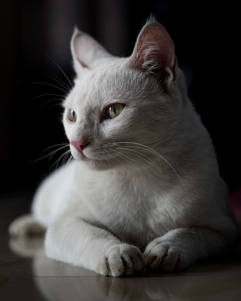 Photograph by Abhishek Kumar