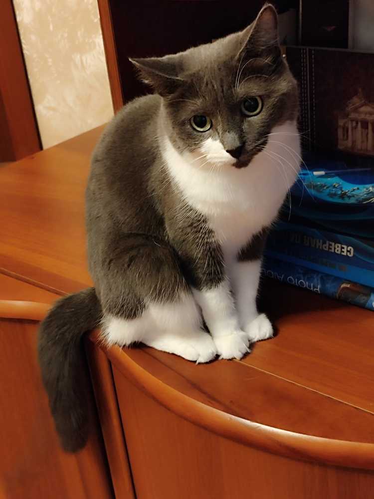 Фотография автора Татьяна Иванова