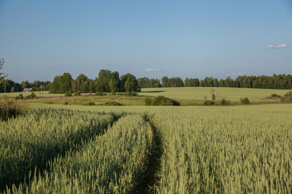 Photograph by Кира Орлова