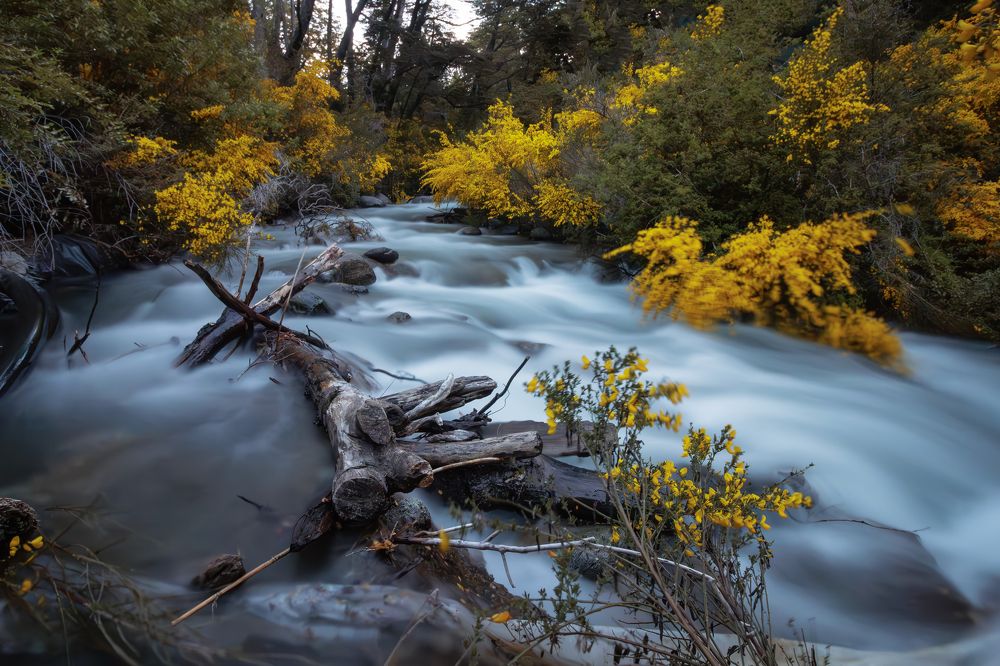 Фотография автора Gustavo Mendez