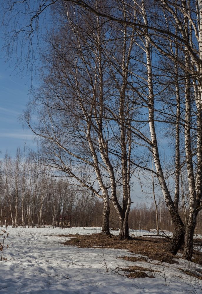 Photograph by Кира Орлова