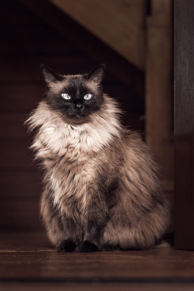 Photograph by Елена Овчинникова