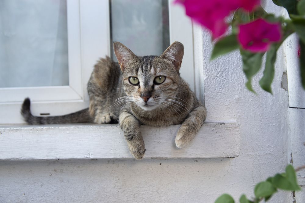 Photograph by Анна Васильева