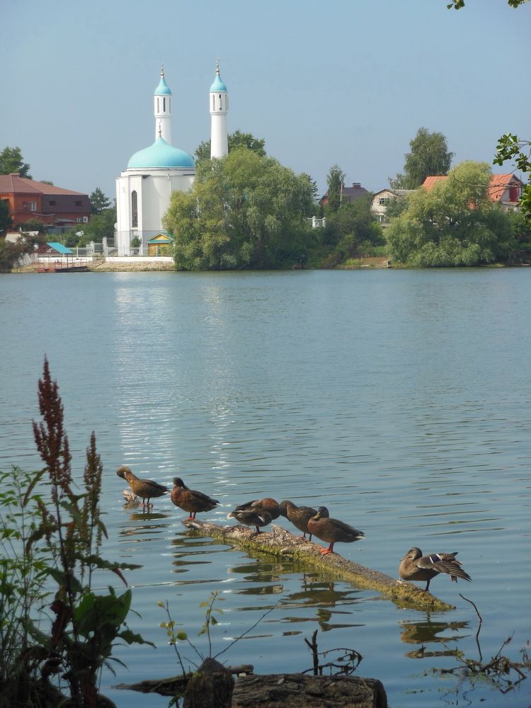 Фотография автора Клавдия Васильева
